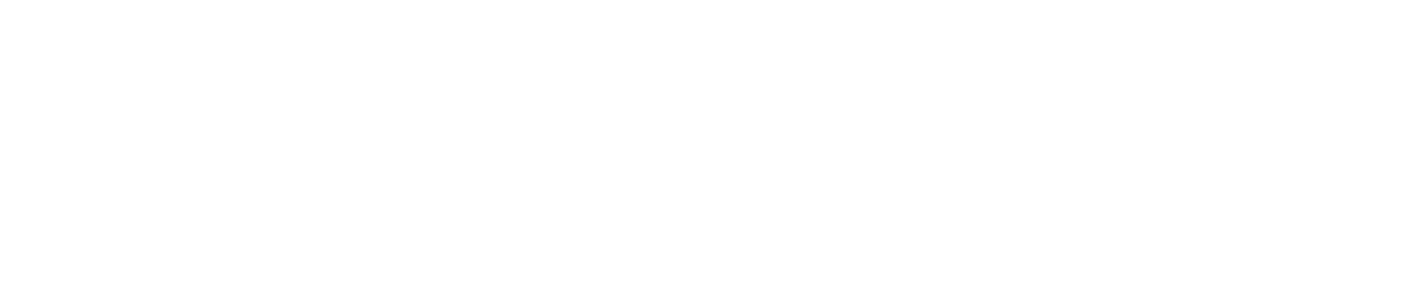 logo light